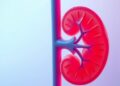 How Environmental Exposures Affect Pediatric Kidney Health — Technology and Engineering