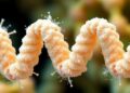 How Proteins “Breathe” and What Causes Them to Freeze: New Discoveries from ISTA Research — Chemistry