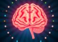 How Watching a Film Shows the Brain Balances Visual and Auditory Input — Technology and Engineering