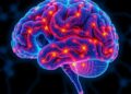 Human Brain Network Predicts Diffuse Midline Glioma — Medicine