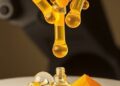 Hyaluronic Acid Boosts Curcumin ZIF-8 Antitumor Power — Technology and Engineering