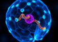 IGTP Researchers Discover Promising Therapeutic Approach for Malignant Tumors Linked to Neurofibromatosis Type 1 — Biology