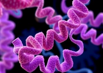 IRB Barcelona Leads MD4SB Project to Advance Dynamic Representation in Structural Biology — Biology