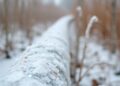 Illinois Scientists Unveil Novel Mechanism to Halt Frost Propagation — Chemistry