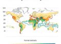 Impact of Reforestation on Water Resources Varies with Global Warming Levels — Agriculture