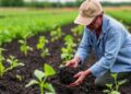 Innovative Biochar Model Enhances Site-Specific Climate-Smart Agriculture for Farmers and Policymakers — Agriculture