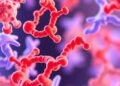 Innovative Tool Advances Research on Essential Proteins — Biology