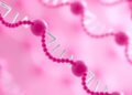 Innovative Tool Enhances Construction of Robust DNA Nanostructures — Technology and Engineering