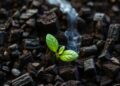 Iron-Enhanced Biochar Transforms Soil Oxygen to Break Down Antibiotic Pollution — Technology and Engineering