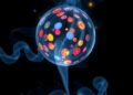 Knowledge Distillation Boosts TCM Named Entity Recognition — Technology and Engineering