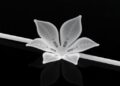 Lily-Shaped 3D-Printed Stent Promises Faster Recovery After Weight-Loss Surgery — Technology and Engineering