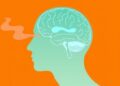 Loss of Smell as Devastating as Parkinson’s and Stroke, New Study Reveals — Biology