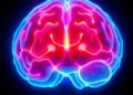 Mayo Clinic Research Finds AI Detects Brain Tumor Risks Without Expensive Genetic Tests — Cancer