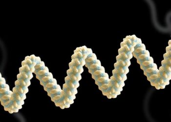Mayo Clinic Scientists Uncover Structure of Crucial Protein Implicated in Cancer and Neurological Disorders — Chemistry