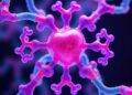 Mechanophore Cross-Linking Boosts Polymer Impact Resistance — Medicine
