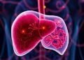 Microbes Communicate with Your Liver: Study Uncovers How Gut Bacteria Influence Liver Function via DNA “Switches” — Biology