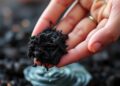 Microwave-Produced Biochar Offers Promising Solution for Cleaner Water and Safer Soils from Waste Biomass — Chemistry