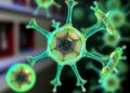 Nanjing University Team Pioneers Novel Targeted Therapy for EGFR-Driven Tumors Utilizing IVSA Technology — Biology