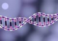 Nanocarriers’ Untapped Promise in Antiviral Crop RNA Delivery — Biology