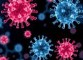 New Study Seeks to Prolong Immune System Longevity — Biology