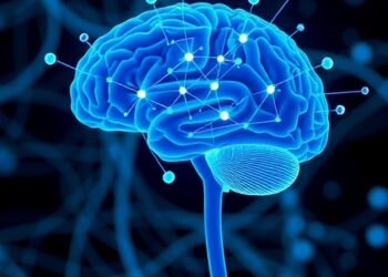 New Study Uncovers How the Brain Revises Its Predictions — Biology
