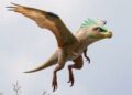 Newly Discovered Velociraptor Relative Likely Glided on Four Wings and Preyed on Early Birds — Biology