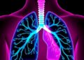 Newly Identified TMEM63B Variant Drives Severe Respiratory Disorder Through Loss-of-Function Mutation — Biology