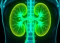 Next-Generation PET Tracer Revolutionizes Rapid, High-Precision Kidney Cancer Detection — Cancer