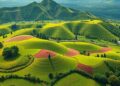 Optimized Land Use and Management: Unlocking Biodiversity, Climate Resilience, and Economic Growth — Agriculture