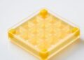 Organic PVDF Composites Evolve for Capacitive Storage — Technology and Engineering