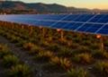 PAINT Database Enables FAIR Data for Solar Plants — Technology and Engineering