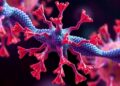 Phage Protein Teams with FtsZ to Boost Immunity — Biology