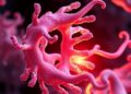Pre-initiation Complex Reveals CMGE Assembly Mechanism — Medicine