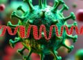RNA Barcoding Uncovers Hidden Virus-Host Connections — Technology and Engineering