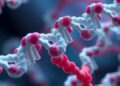 RNA-Protein Self-Replication Systems Show Path Toward Evolutionary Extinction — Biology