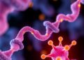 Radio Waves Enable Precise Control of Proteins — Chemistry