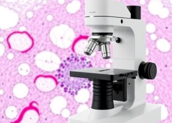Revolutionary 3D Microscope Delivers High-Resolution Tissue Imaging at a Fraction of the Cost — Technology and Engineering