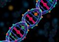 Revolutionary Single-Cell Technique Unveils DNA-Protein Interactions with Unprecedented Precision — Technology and Engineering