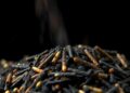 Rice Husk Biochar Catalyst Rapidly Decomposes Antibiotic Pollutants in Minutes — Technology and Engineering