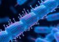 Runaway Transcription Drives Purine Bias in Bacteria — Biology
