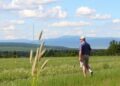 Scientists Awarded $4 Million to Enhance Endangered Species Management on Military Lands — Biology