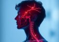 Scientists Discover Daily Body Clock Regulating Humidity Response — Biology