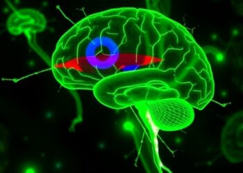 Scientists Reveal New Discoveries About Cells Forming Brain’s Protective Barriers — Biology