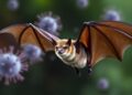 Single Amino Acid Mutation Could Enable Viruses to Leap from Bats to Humans — Biology