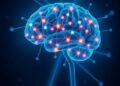 Sleepless Night Enhances Connectivity Between Brain Cells, Study Finds — Biology