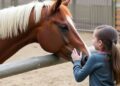 Study Finds Horses Exhibit No Behavioral Changes When Petted in Children’s Zoo Environment — Biology