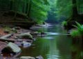 Study Finds Increased Antidepressant Concentrations in Select Waterways — Chemistry