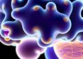 Terasaki Institute Scientists and Leading Experts Release In-Depth Review on Glioma Organoid Models, Introducing Novel Classification System for Brain Cancer Research — Technology and Engineering