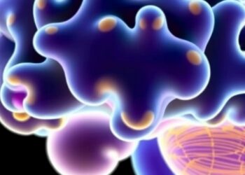Terasaki Institute Scientists and Leading Experts Release In-Depth Review on Glioma Organoid Models, Introducing Novel Classification System for Brain Cancer Research — Technology and Engineering