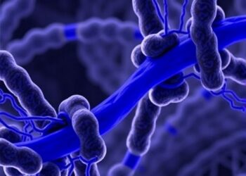 Type I Interferon Signature Unlinked to Blau Syndrome Activity — Technology and Engineering